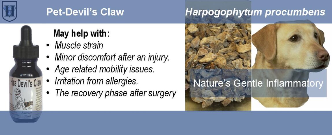 D-pet-product-Nivo-Devils-Claw Pet Devil's Claw Liquid Extract