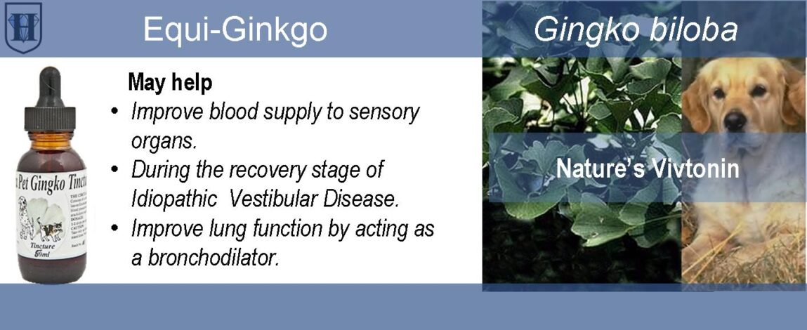 D-pet-product-Nivo-Ginkgo Liquid Pet Ginkgo Liquid