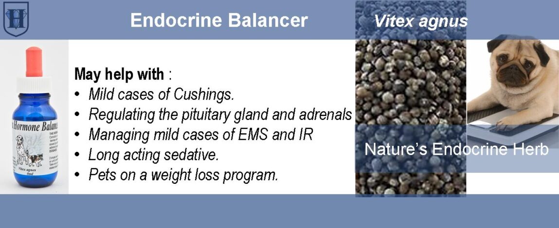 Pet Vitex Agnus Pet Vitex Agnus Extract