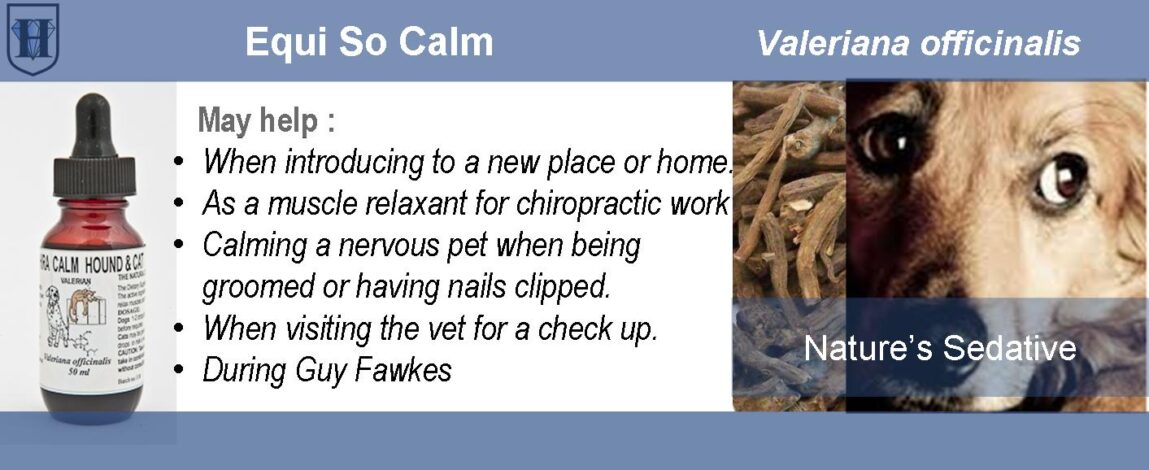 Pet Valerian So Calm Pet Valerian Extract