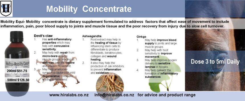 H-Mobility Concentrate Extract Horse Mobility Concentrate Liquid