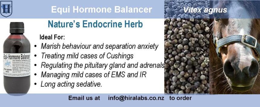 H-Vitex-agnus-Nivo-sliders A slider shows a picture of amber bottle contains 200ml of vitex agnus, a horse picture and berries of vitex agnus. It also describes the uses of vitex agnus