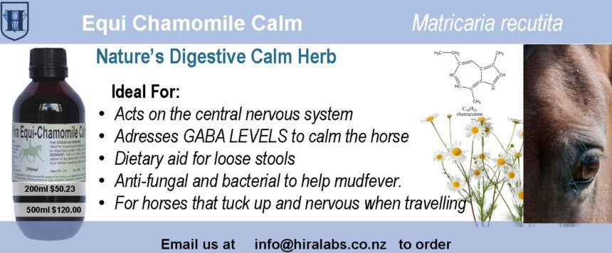 H-Chamomle Extract Horse Chamomile Liquid Extract