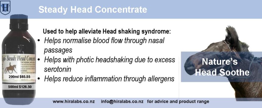 H-Steady Head Concentrate Horse Steady Head Liquid