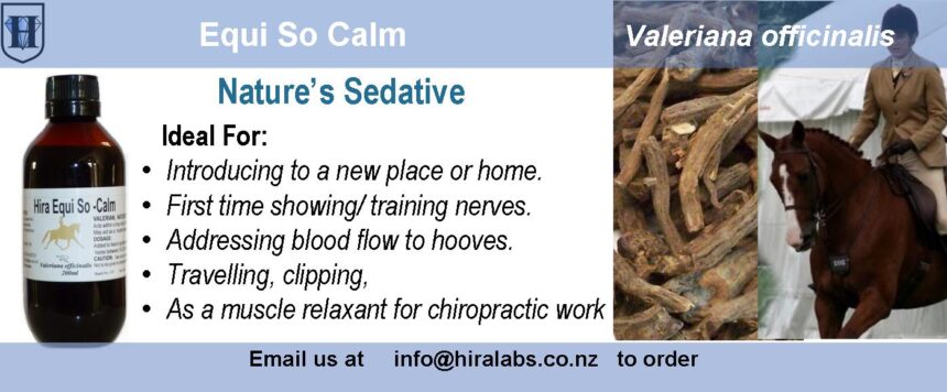 Horse Valerian Extract Equi-Valerian Liquid Extract