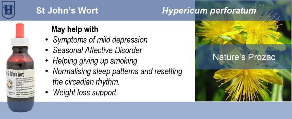 p-People-Product-St-Johns Wort Extract St John's Wort Liquid