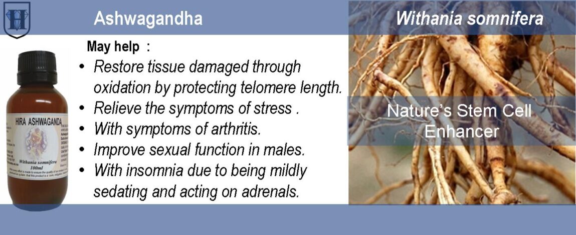 p-People-Product- Ashwagandha Extract Ashwagandha Liquid Extract