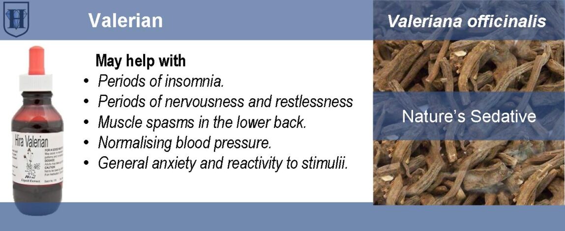 p-People-Product-Valerian People- Valerian Liquid