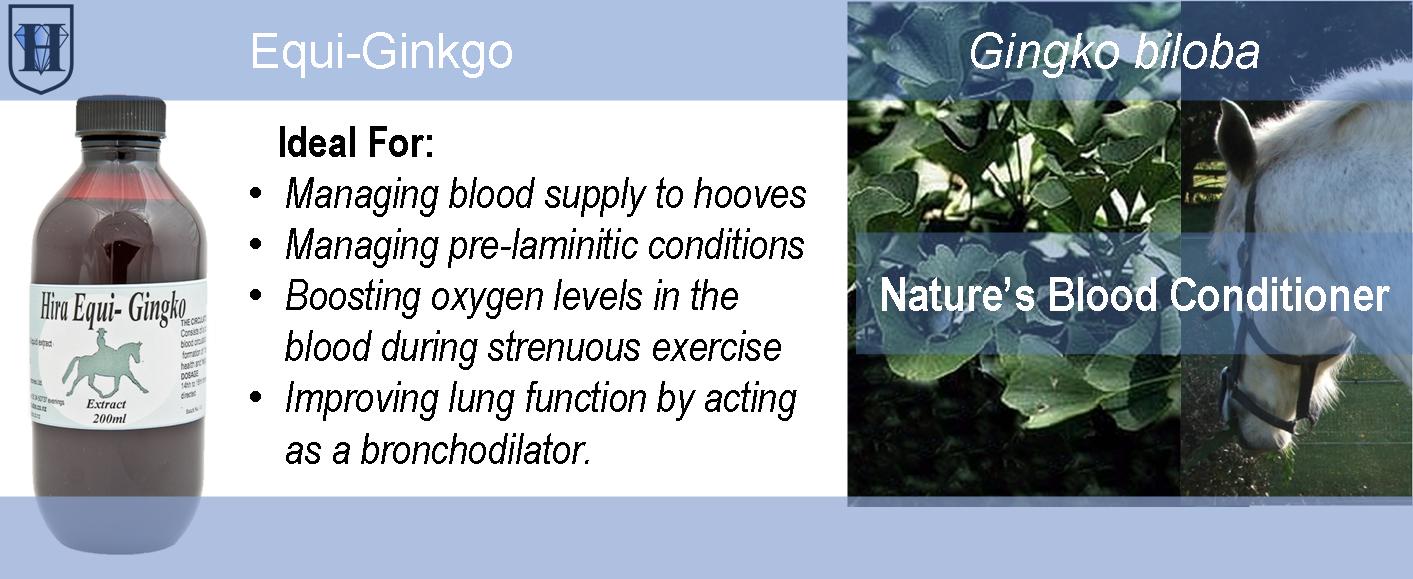 A slider which shows an image of 200ml amber bottle with ginkgo extract and a picture of ginkgo leaves. It also describes the uses of the herb ginkgo