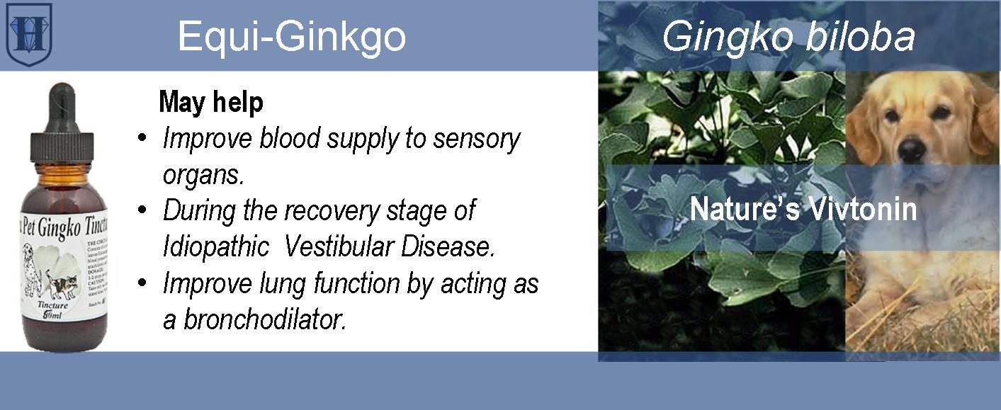 Hira Pet Ginkgo - Image 3